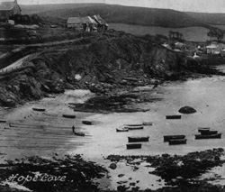 The beach at Hope Cove